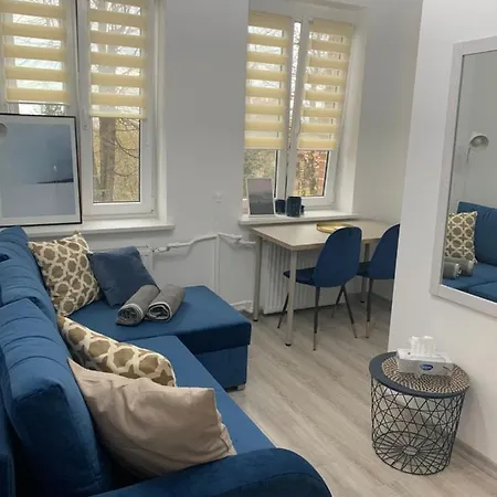 Nikita Studio